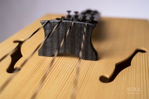 tagelharpa 4proT detail